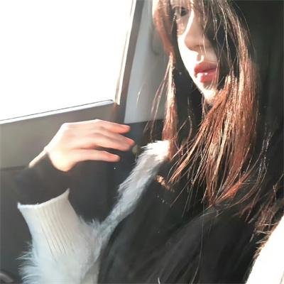 达芬奇的一生